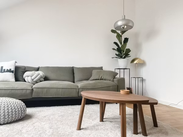 cozy living room